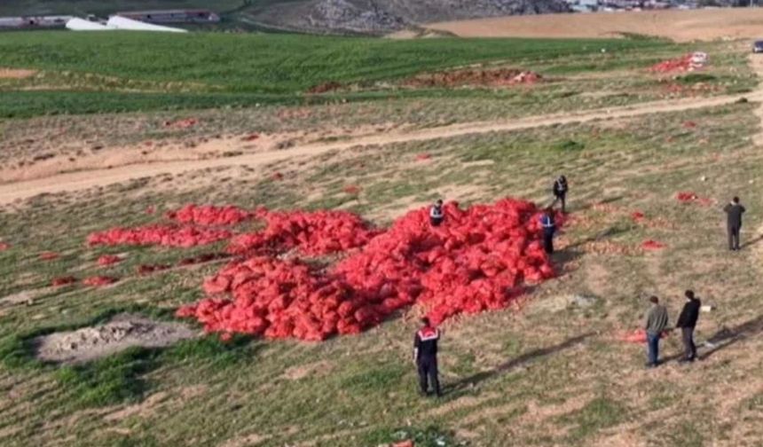 Polatlı’da Boş Araziye Dökülen Soğanlar için Ticaret Bakanlığı Harekete Geçti