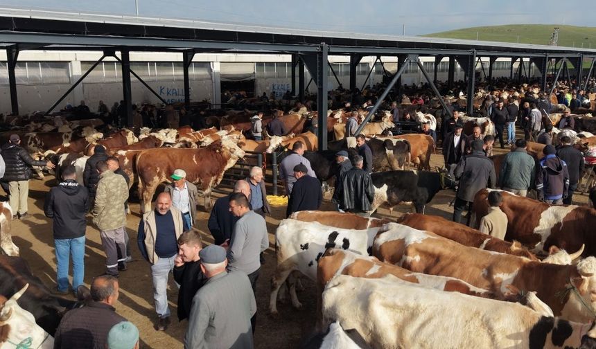 Başkan Demirbaş, Çubuk Canlı Hayvan Pazarı'nı Ziyaret Etti
