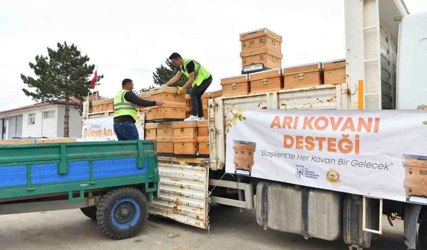Ankara’da Yüzde 50 hibeli Kovan Dağıtımına Çubuk'tan Başlandı