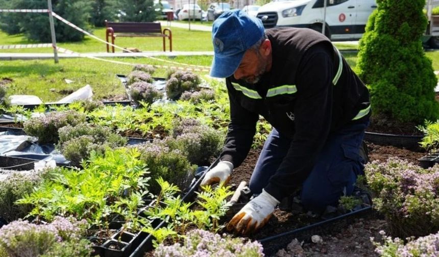 Keçiören Belediyesi'nden Yaz Öncesi Kapsamlı Peyzaj Seferberliği