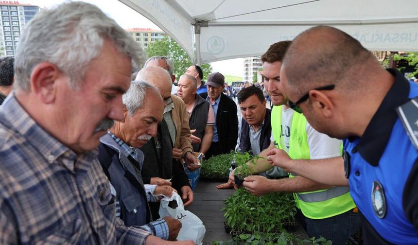 Pursaklar’da Binlerce Sebze Fidesi Ücretsiz Dağıtıldı