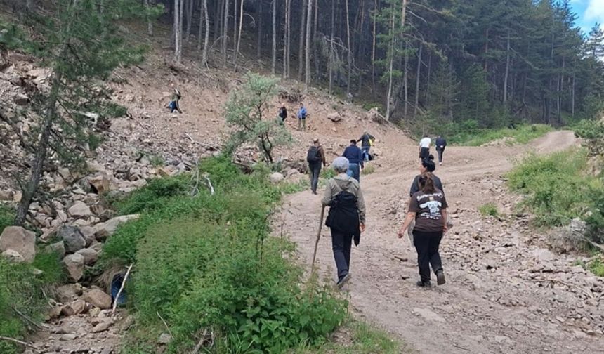 Beypazarı’nda Kayıp Şahsı Arama Çalışmaları Sürüyor
