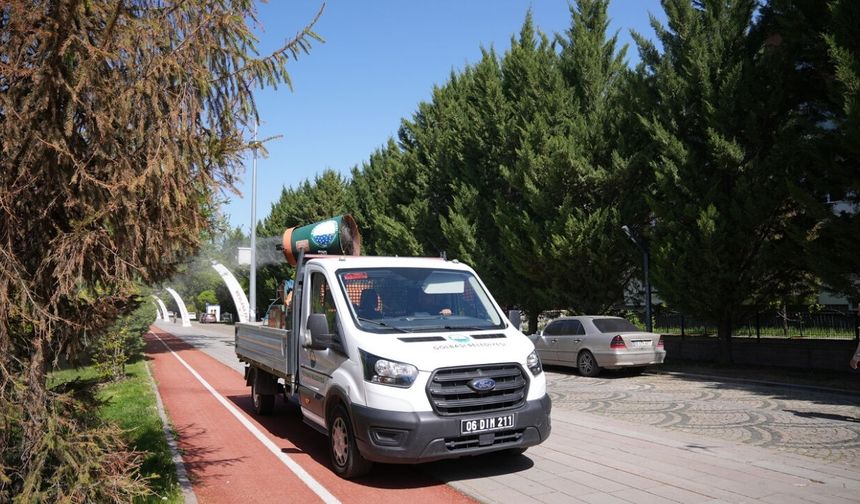 Gölbaşı'nda Haşere Seferberliği: Ekipler Dört Bir Yanda Sahaya İndi