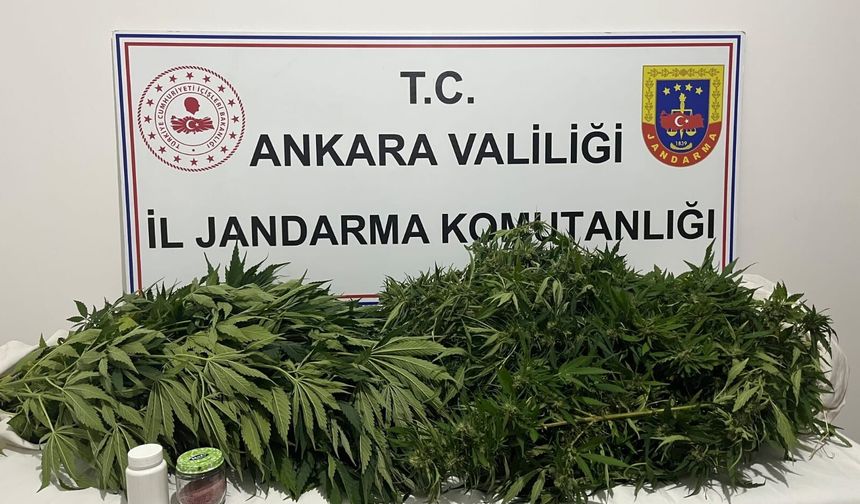 Haymana’da Kenevir Operasyonu: 1 Şüpheli Yakalandı