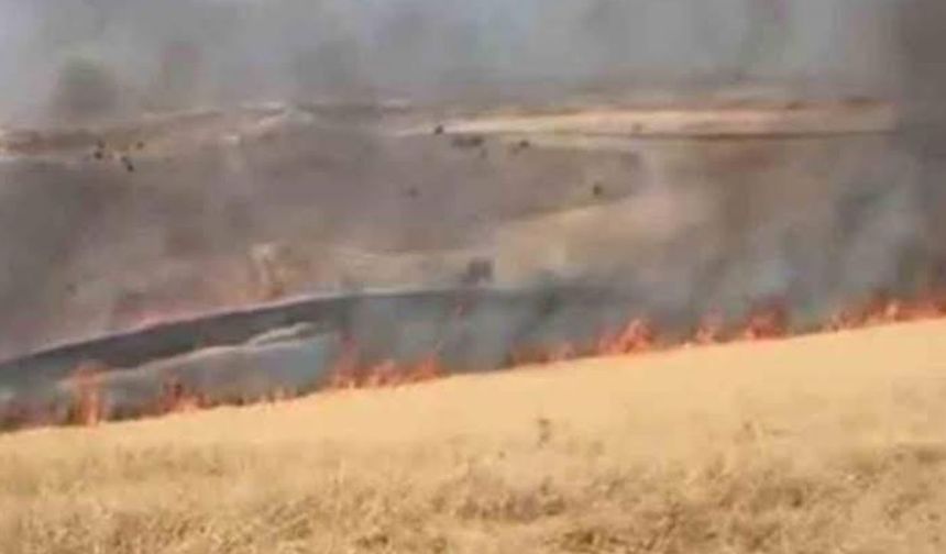 Altındağ'da Yangın Paniği: Alevler Yerleşim Yerlerine Kadar Ulaştı