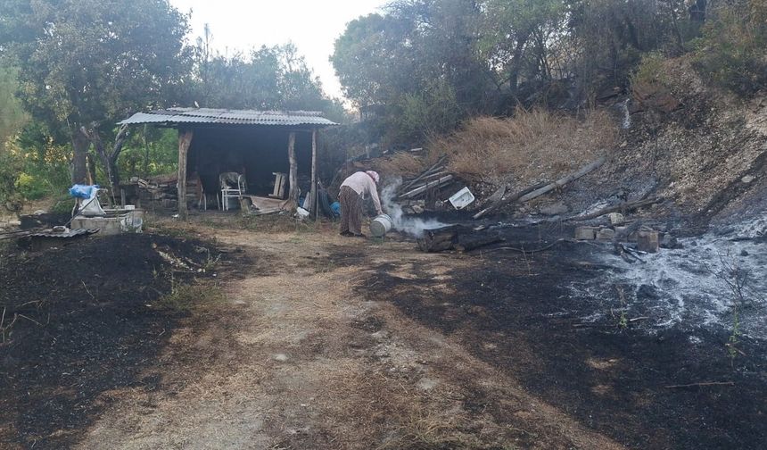 Ankara Beypazarı’nda Otluk Yangını: İki Bağ Evi Hasar Gördü