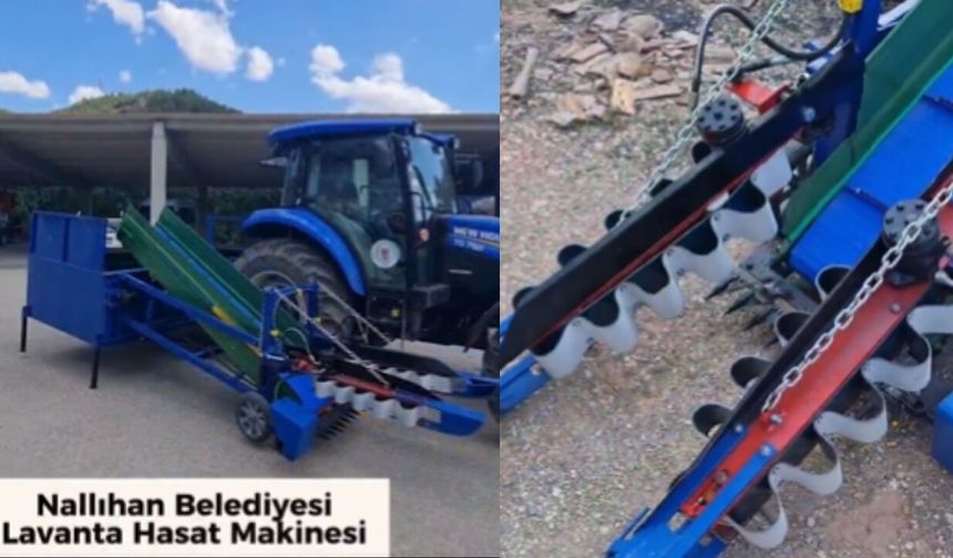 Nallıhan Belediyesinden Lavanta Üreticilerine Yeni Destek