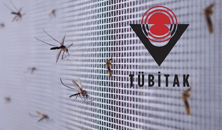 Sivrisineklerle Mücadelede TÜBİTAK Destekli Çözüm