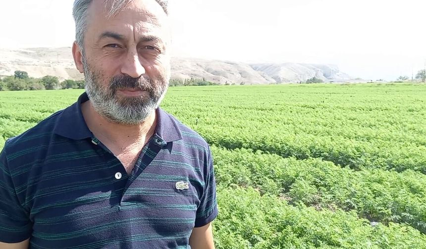 Beypazarı’nda 612 Bin Dekarda Tarımsal Üretim Yapılıyor