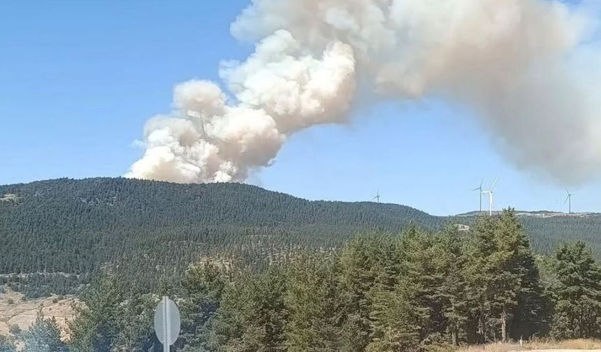 Kızılcahamam'daki Orman Yangını 20,5 Saat Sonra Kontrol Altında Alındı