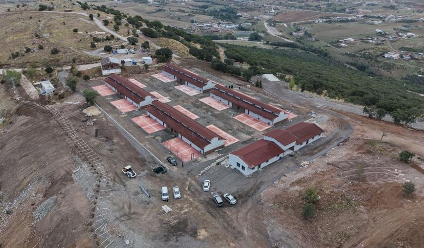 Altındağ’da Sokak Hayvanları için Yapılan Tatlar’daki Merkezde Sona Yaklaşıldı