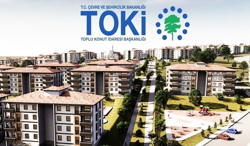 Toki-3