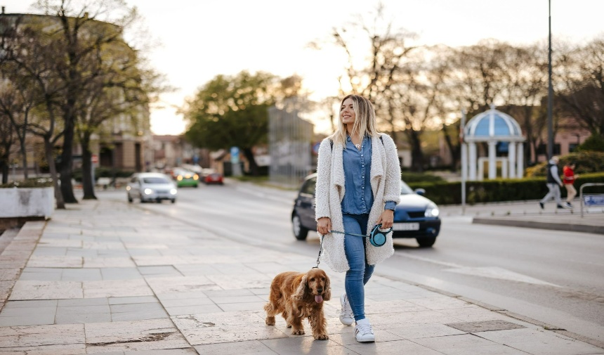 Herhangi bir tetikleyicinin olmadığı yerlerde evinizde veya arka bahçenizde başlayın. Daha sonra köpeğinizi yavaş yavaş daha fazla hareketli nesneye, insana veya arabaya maruz bırakabilirsiniz. Kalabalık caddelerden uzak durun ve dikkatinizin daha az dağıldığı, daha sessiz yerlere yönelin.