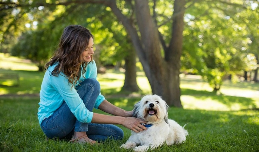 Evcil hayvanınızın eğitime iyi yanıt vermediğini fark ederseniz bir profesyonelle iletişime geçin. Dikkatli bir eğitim ve davranış yönetimi ile kovalamanın heyecanını seven bir köpeğin getirdiği stres ve endişeden kaçınabilirsiniz.
Sibel Bay