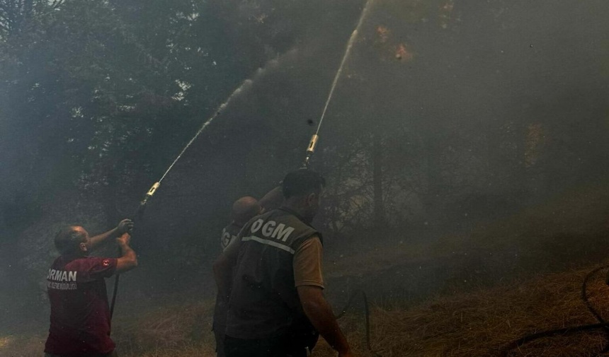 Çanakkale Bayramiç'te Yangın Ekipler Seferber Oldu Görsel 4