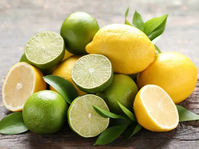 Lime Ve Limonun Farki Nedir B23286Ed 3A2D 41A2 88B5 2C50Ebebe9Ab