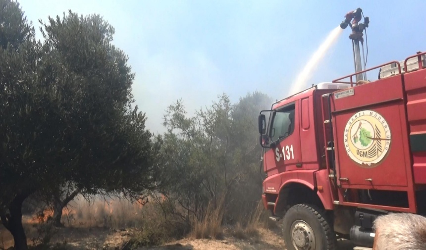 Manavgat'ta Çıkan Yangın, Çöplükten Tarım Arazilerine Sıçradı Görsel 2