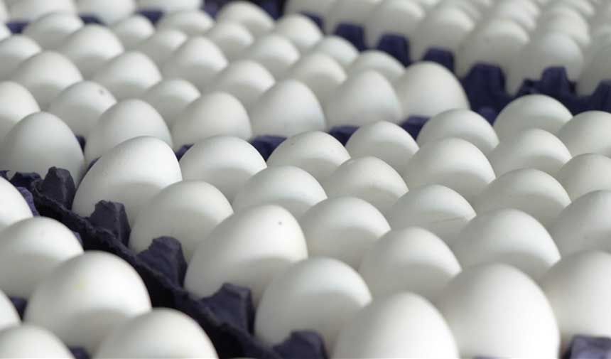 Yumurta İhracatında 9 Aylık Gelir 418 Milyon Doları Aştı