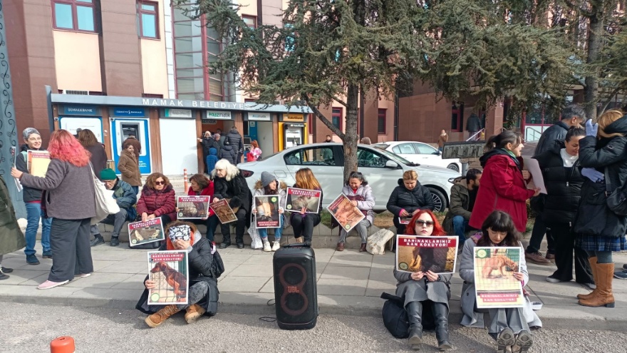 Hayvanseverlerden Mamak Belediyesi Önünde Protesto 1