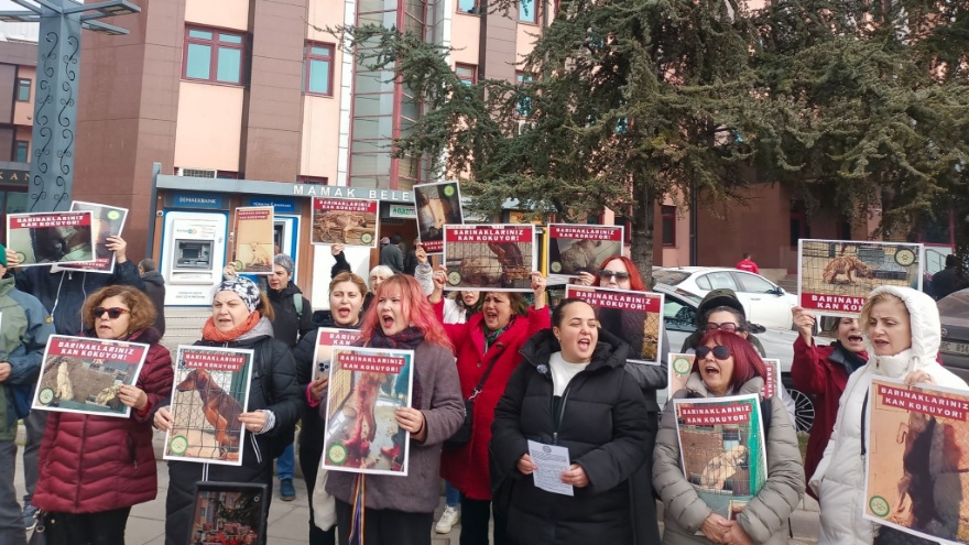 Hayvanseverlerden Mamak Belediyesi Önünde Protesto 3