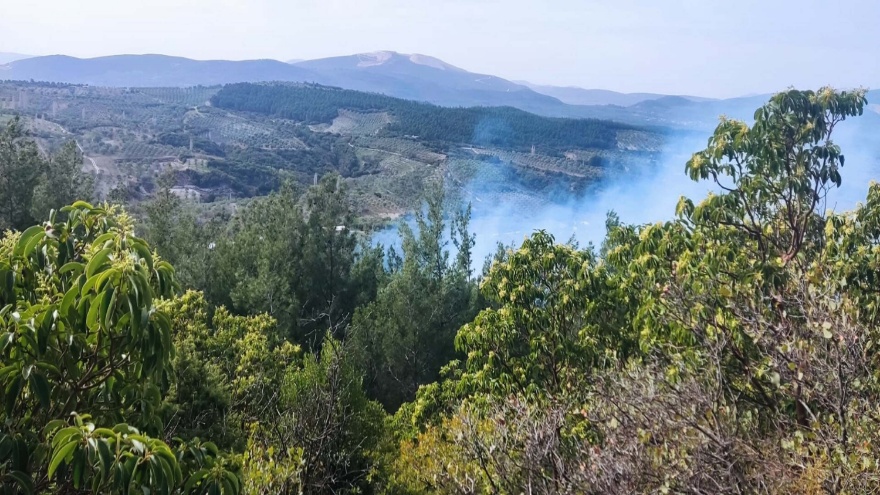 Manisa'daki Orman Yangını 1 Hektar Zarar Verdi2