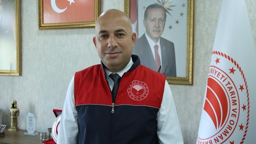 Trakya’da Hasat Yangınları 2 Bin 750 Dekarı Küle Çevirdi 2