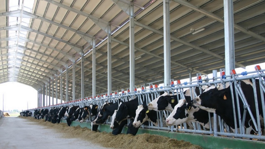 Rüyada Ahıra Girmek, Ahırda Hayvanlar Ve İnsanlar Görmek, Ahır Temizlemek Ne Anlama Gelir 2