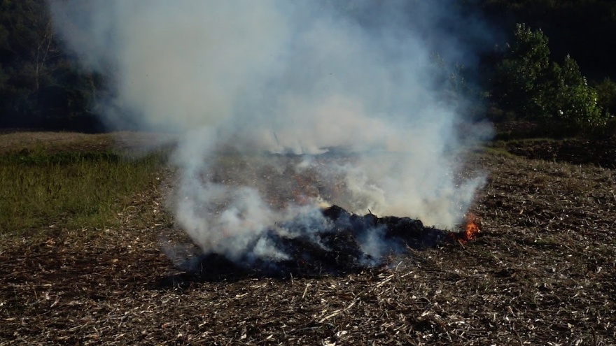 Rüyada Duman Görmek, Dumanın İçinden Kurtulmak, Beyaz Ve Siyah Duman Ne Anlama Gelir 2