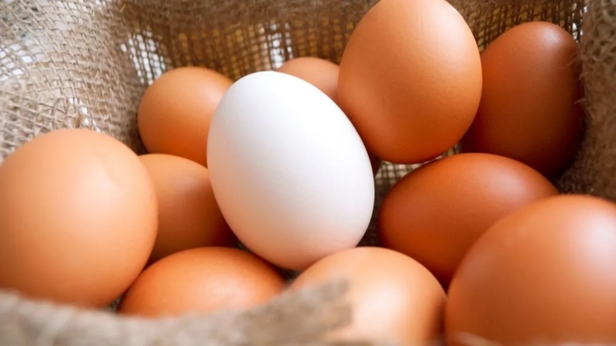 Yumurtanın Taze Olduğu Nasıl Anlaşılır 1