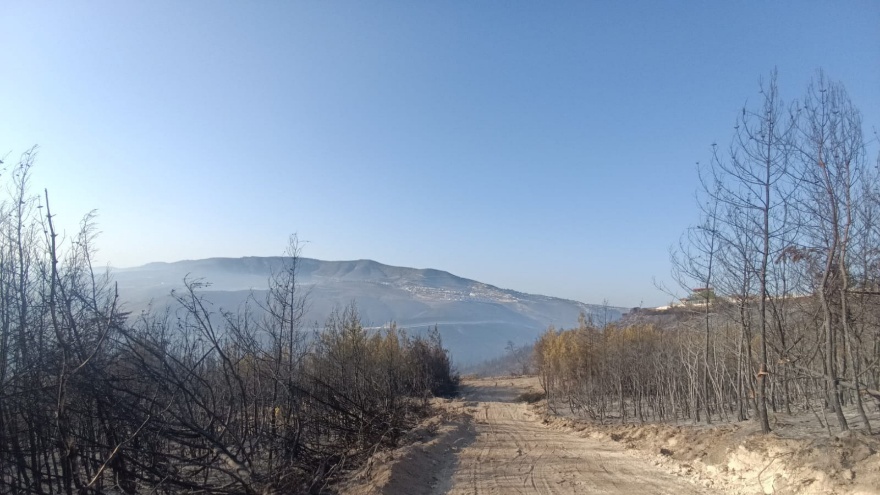 Hatay Yayladağı’nda Çıkan Yangın Ekiplerce Söndürüldü2