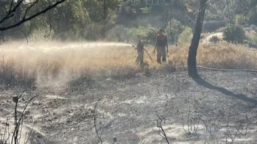 Hatay'da Orman Yangını Kısa Sürede Kontrol Altına Alındı3