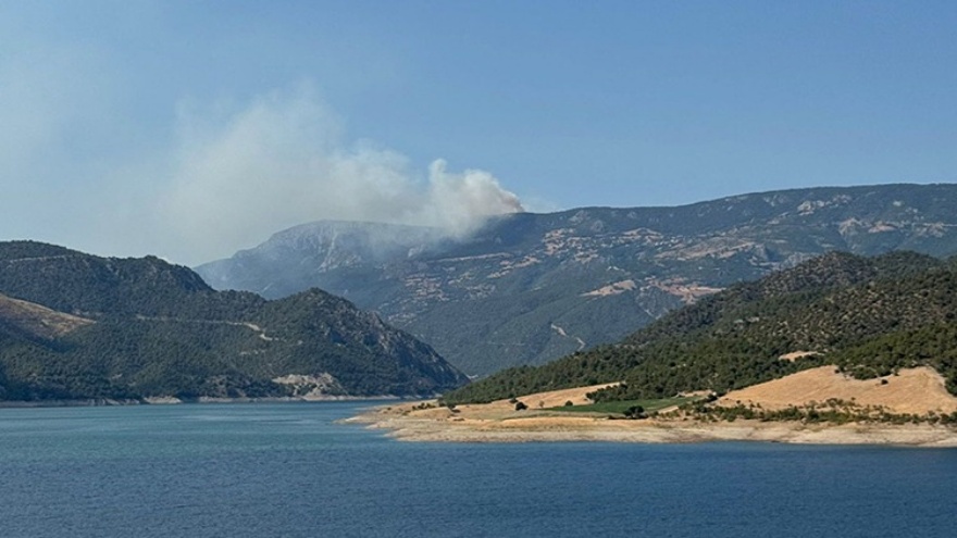 Sinop Durağan’da Orman Yangını Alarmı2