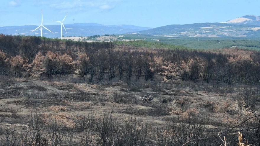 Tekirdağ'da Orman Yangının Ardından Temizlik Çalışmaları Başladı4