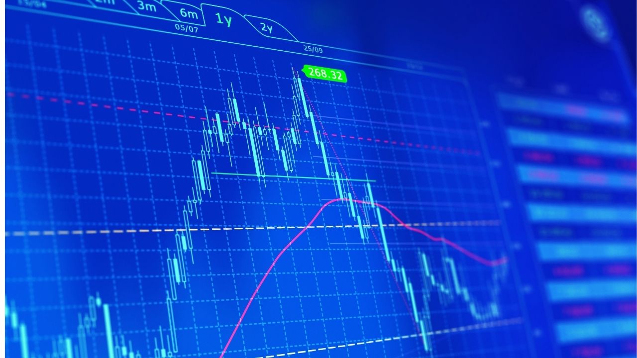 Borsa (14)