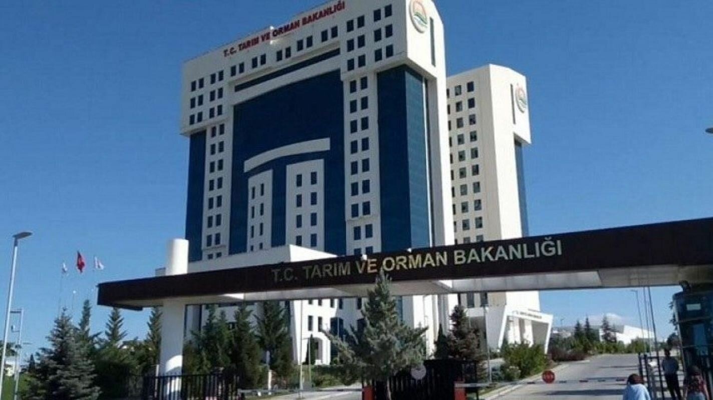 Cumhurbaskani Karariyla Tayin Firtinasi Egitimden Tarima Cok Sayida Atama 6