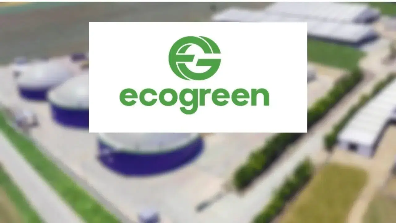Ecogreen Enerji Halka Arz Sonuçları Açıklandı Mı? Ecogreen Enerji Borsada Ne Zaman İşlem Görecek, Kaç Lot Verdi?