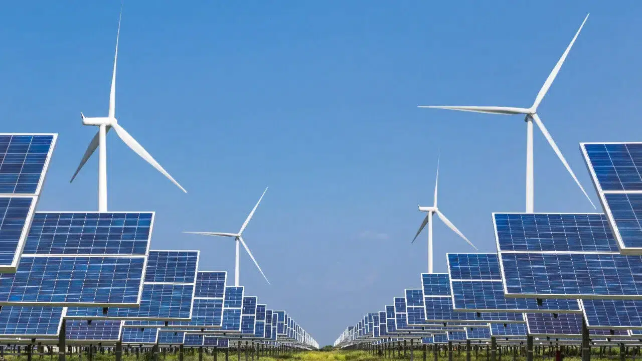 Ecogreen Enerji Halka Arz Sonuçları Açıklandı Mı? Ecogreen Kaç Lot Verdi?
