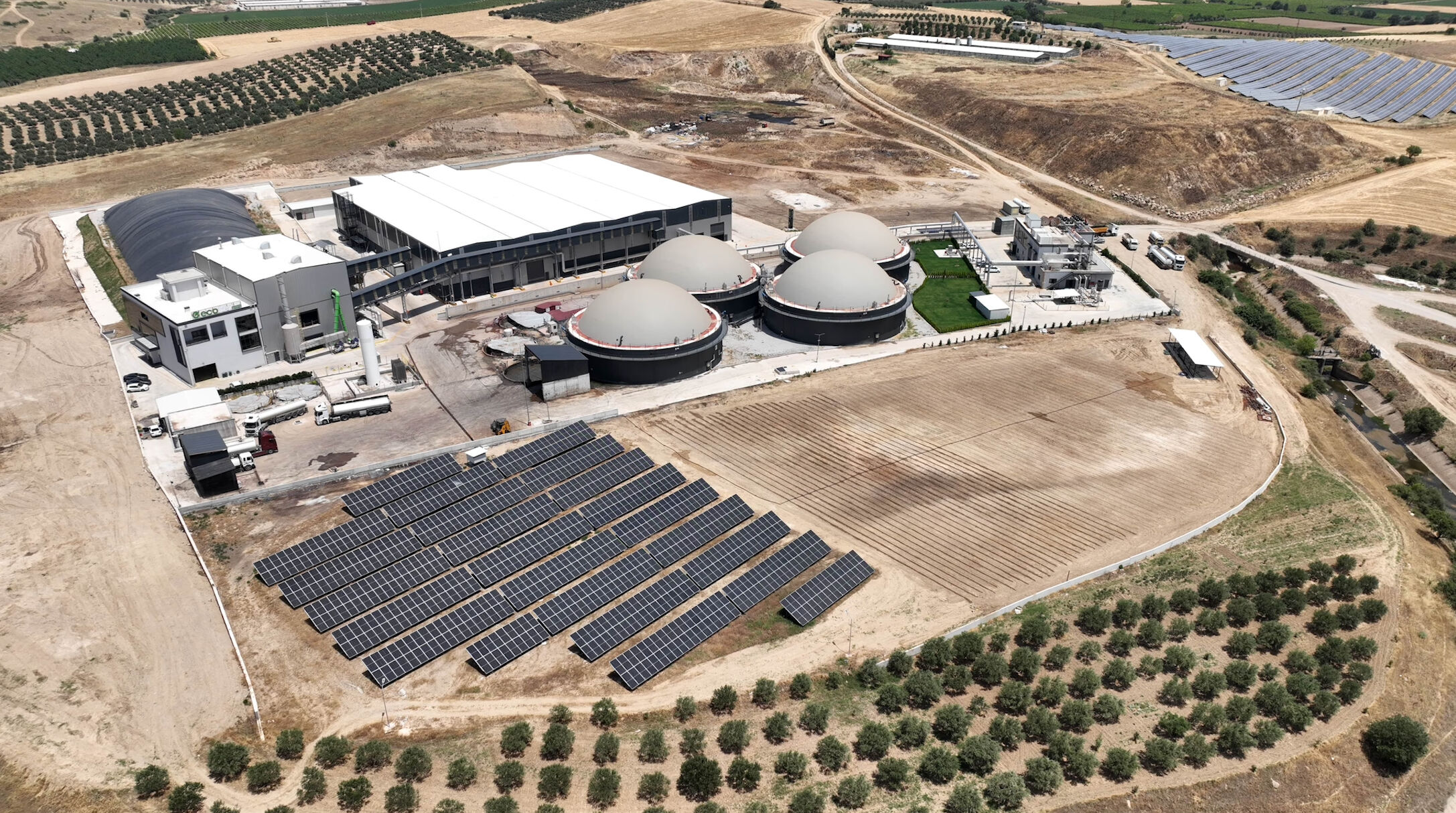 Ecogreen Enerji Halka Arz Sonuçları Açıklandı Mı? Ecogreen Kaç Lot Verdi?2