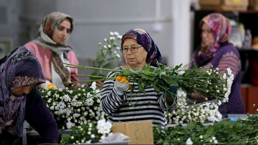 Çiçek İhracatı 10 Ayda Rekor Seviyeye Ulaştı3