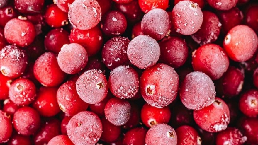 Kızılcığı Kış Için Uzun Süre Nasıl Taze Tutabilirsiniz 2