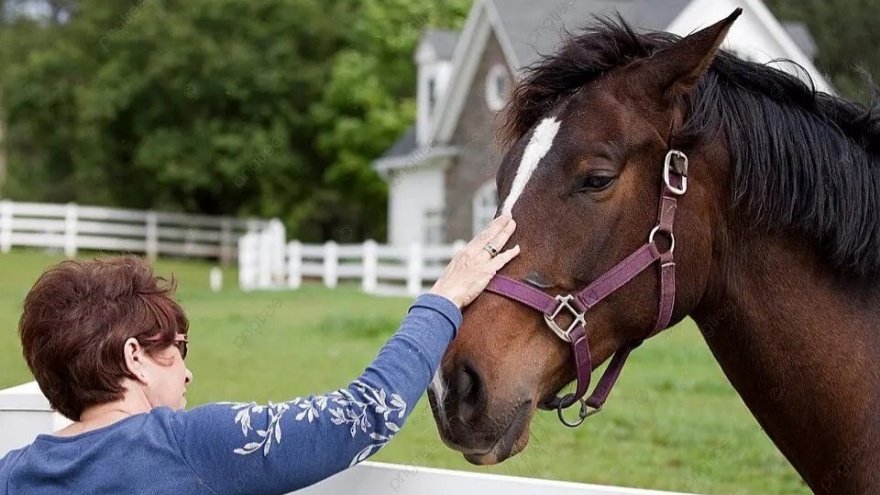 Nazik Dokunuş Beyinde Güven Ve Sakinlik Hissini Nasıl Oluşturuyor