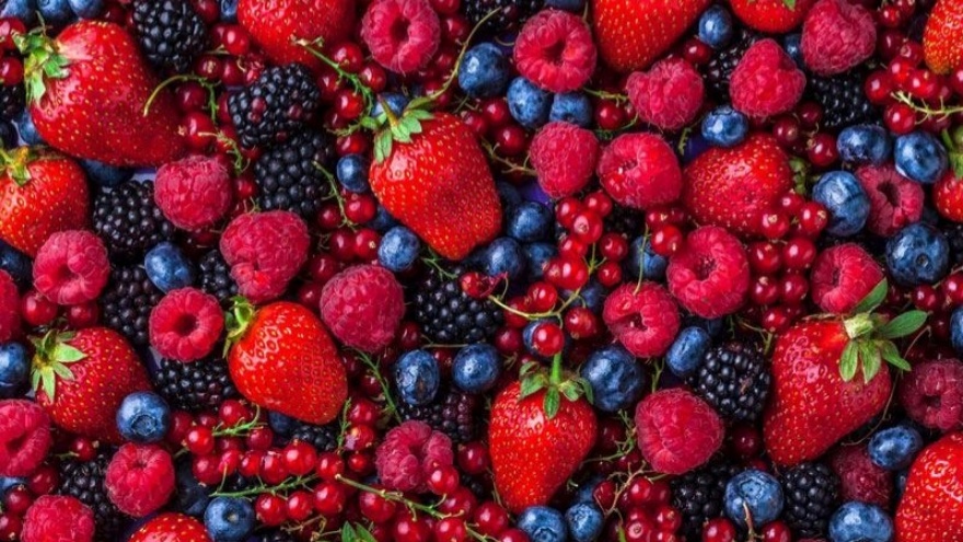 Orman Meyveleri Evde Nasıl Dondurulur 2