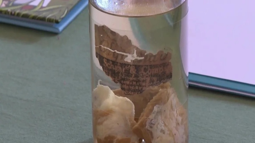 1876’De Adb’deki Et Yağmurunun Ardındaki Gerçek Nedir 2