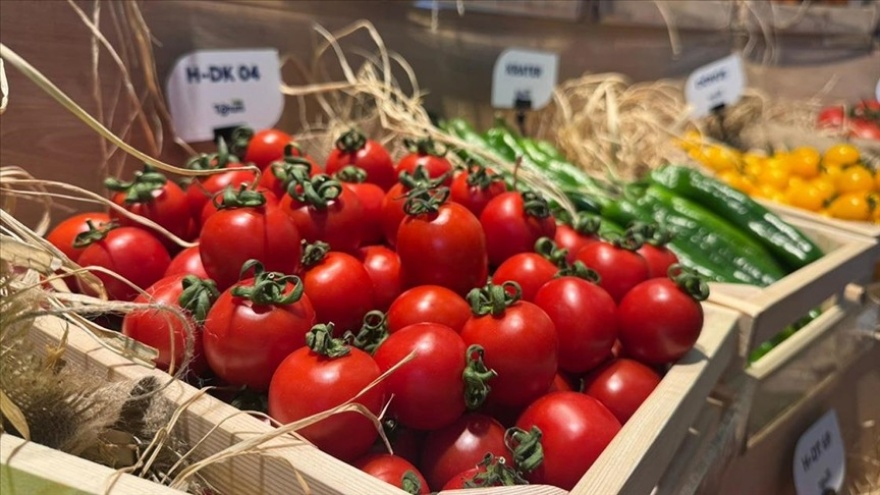 Bazı Sebzeler Neden Balık Gibi Kokar 2