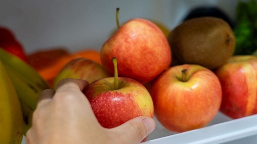 Elmalarınızı Uzun Süre Taze Tutmanın Yöntemleri Nelerdir (1)