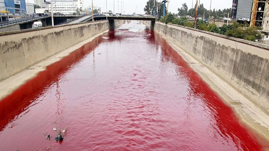 Kırmızı Yağmur (Kan Yağmuru) Nedir Ve Neden Oluşur 2