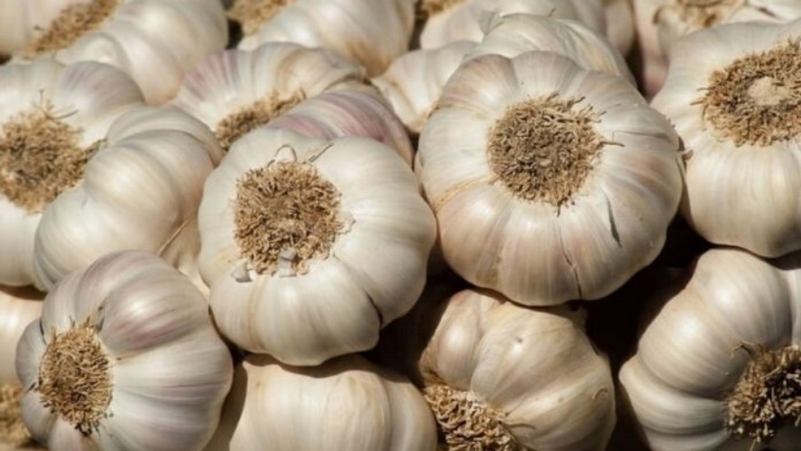 Kuru Sarımsak Nasıl Saklanır Doğru Saklama Rehberi
