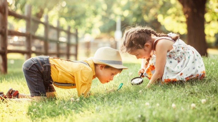 Merak Duygusu Beyni Nasıl Yeniden Programlıyor