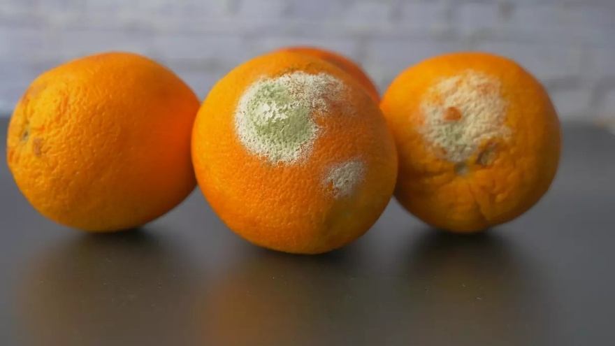 Meyvelerin Tazeliğini Uzatacak Basit Yöntemler Nelerdir 3