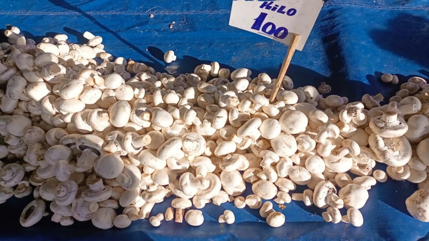 Beşikkaya Semt Pazarında Yeni Yılın İlk Pazarı 4 Ocak 2026 Sebze Ve Meyve Fiyatları6